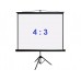 PL Magna TRM-NTSC-120D 244x183 Matte White купить в Минске